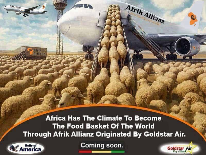 Africa Has The Climate To Become The Food Basket Of The World Through Afrik Allianz Originated By Goldstar Air